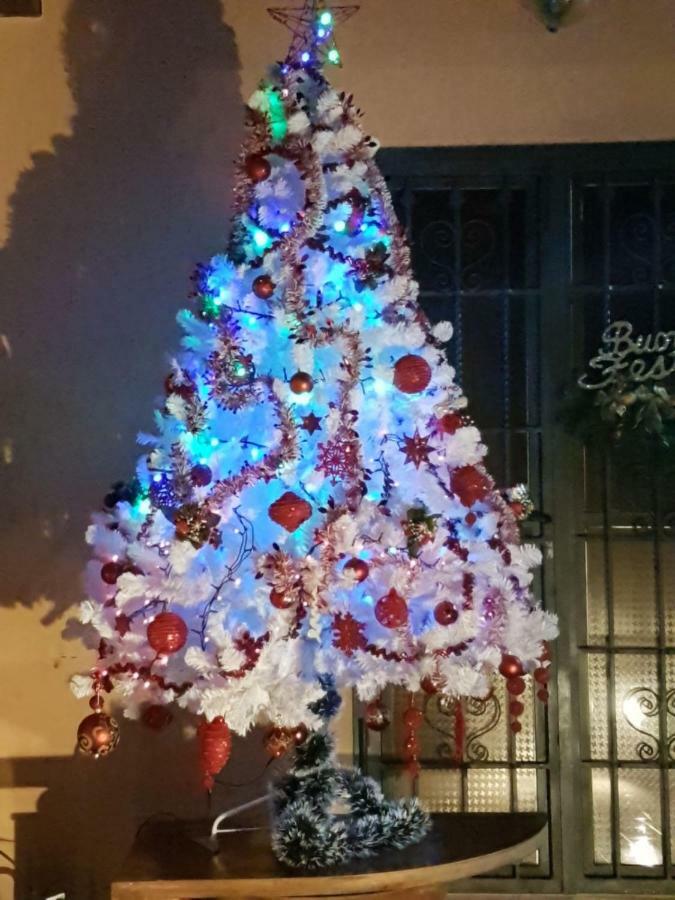 Alle Vecchie Mura Pistoia Exterior foto